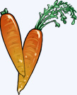 Zwei Karotten. Eine mit Grünzeug, die andere ohne.